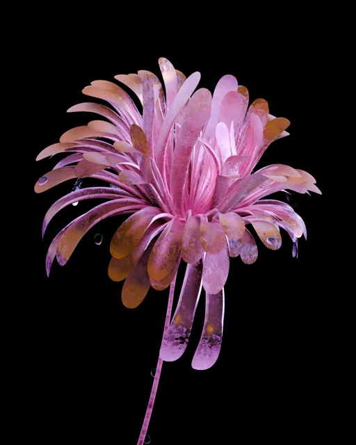 Faceted pink flower on a black background